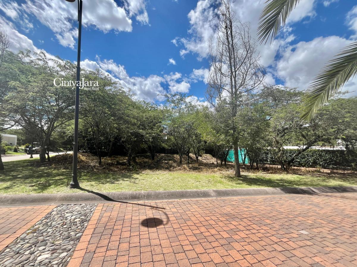 La Viña, Urbanizacion de Lujo, Terreno Unifamiliar, 1100 m² — imagen 2