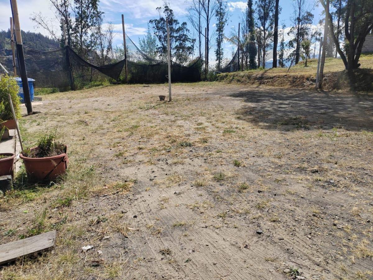 Vendo Terreno Simon Bolivar 1500 m² — imagen 5
