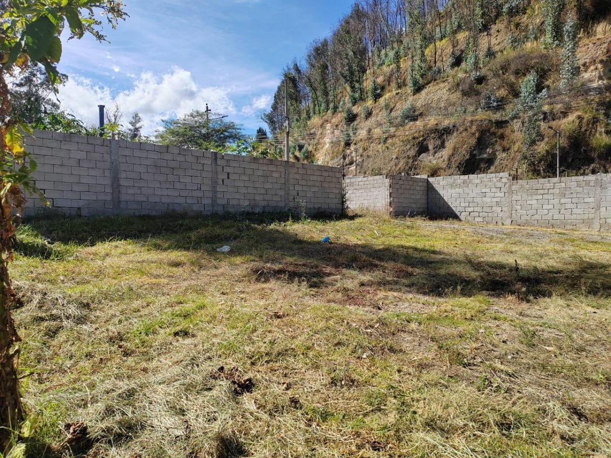 Vendo Terreno Simon Bolivar 1500 m² — imagen 2
