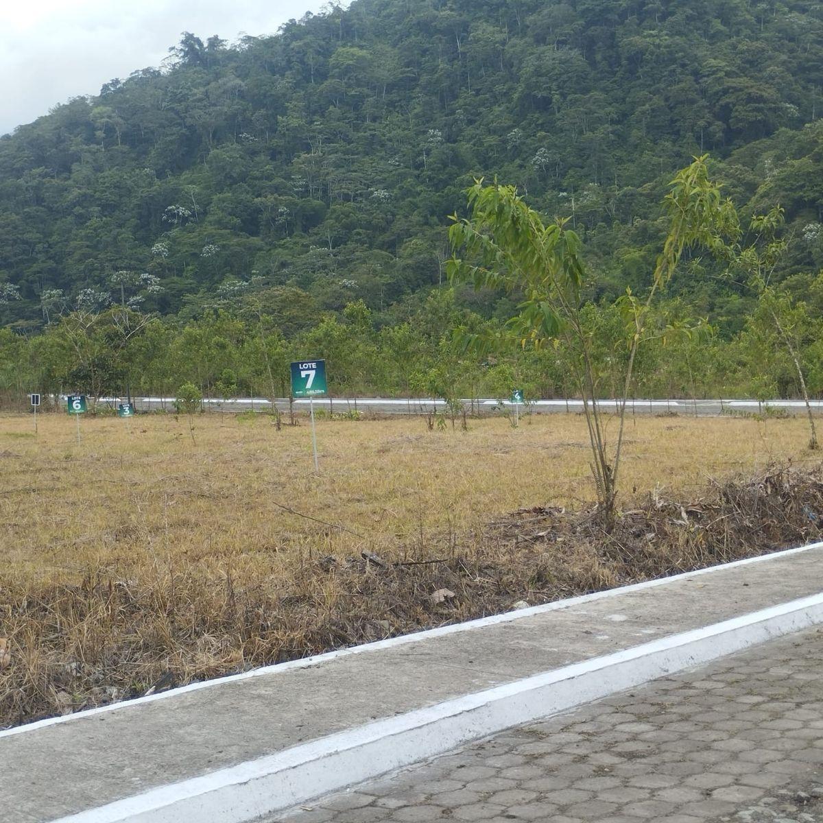 Lotes de Terreno en Rio Negro, Tungurahua — imagen 6