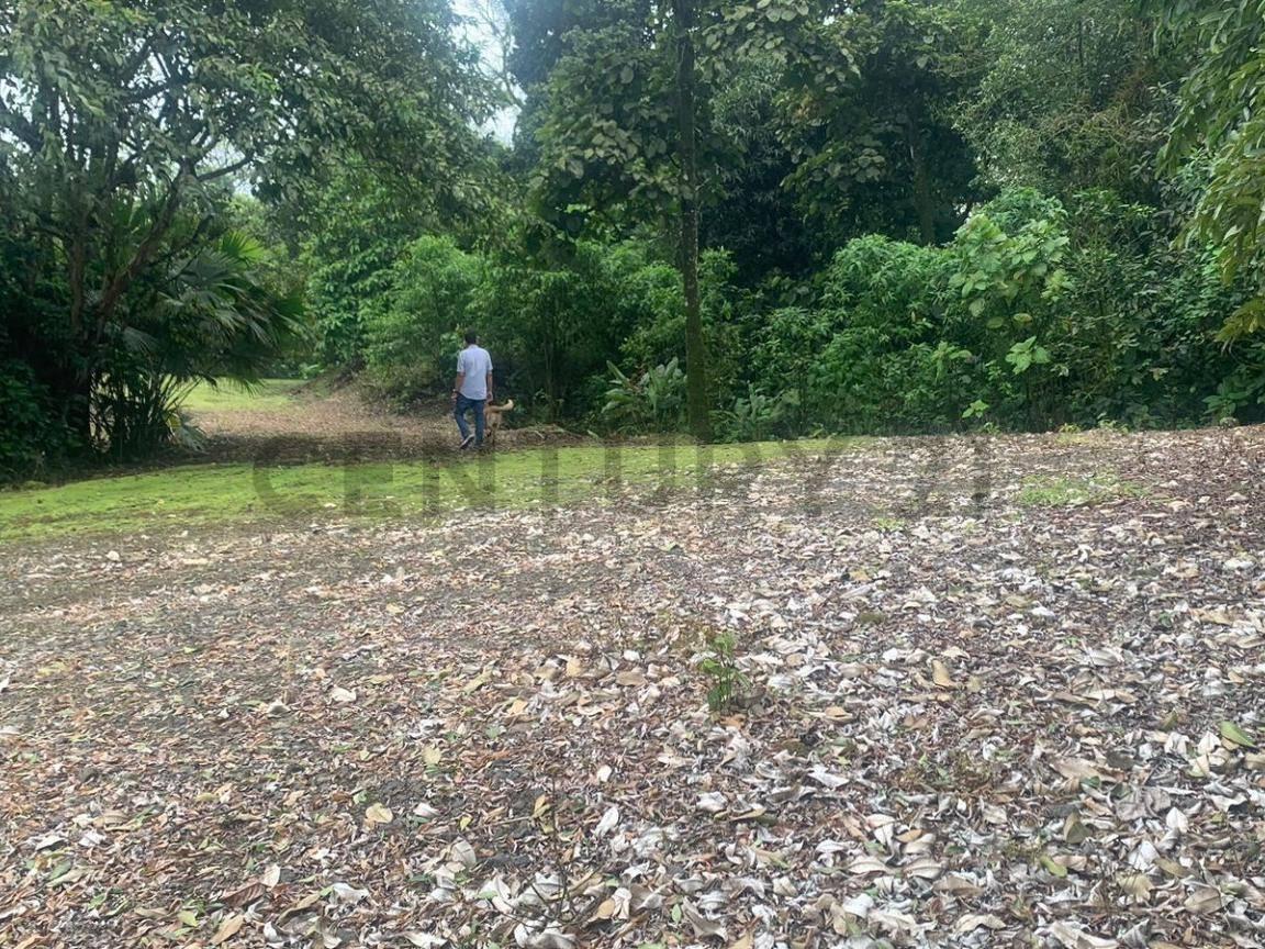 Venta de Terreno - El Aromo Sector Liguiqui - ¡Inversión en Paraíso Natural!, Manabí — imagen 4