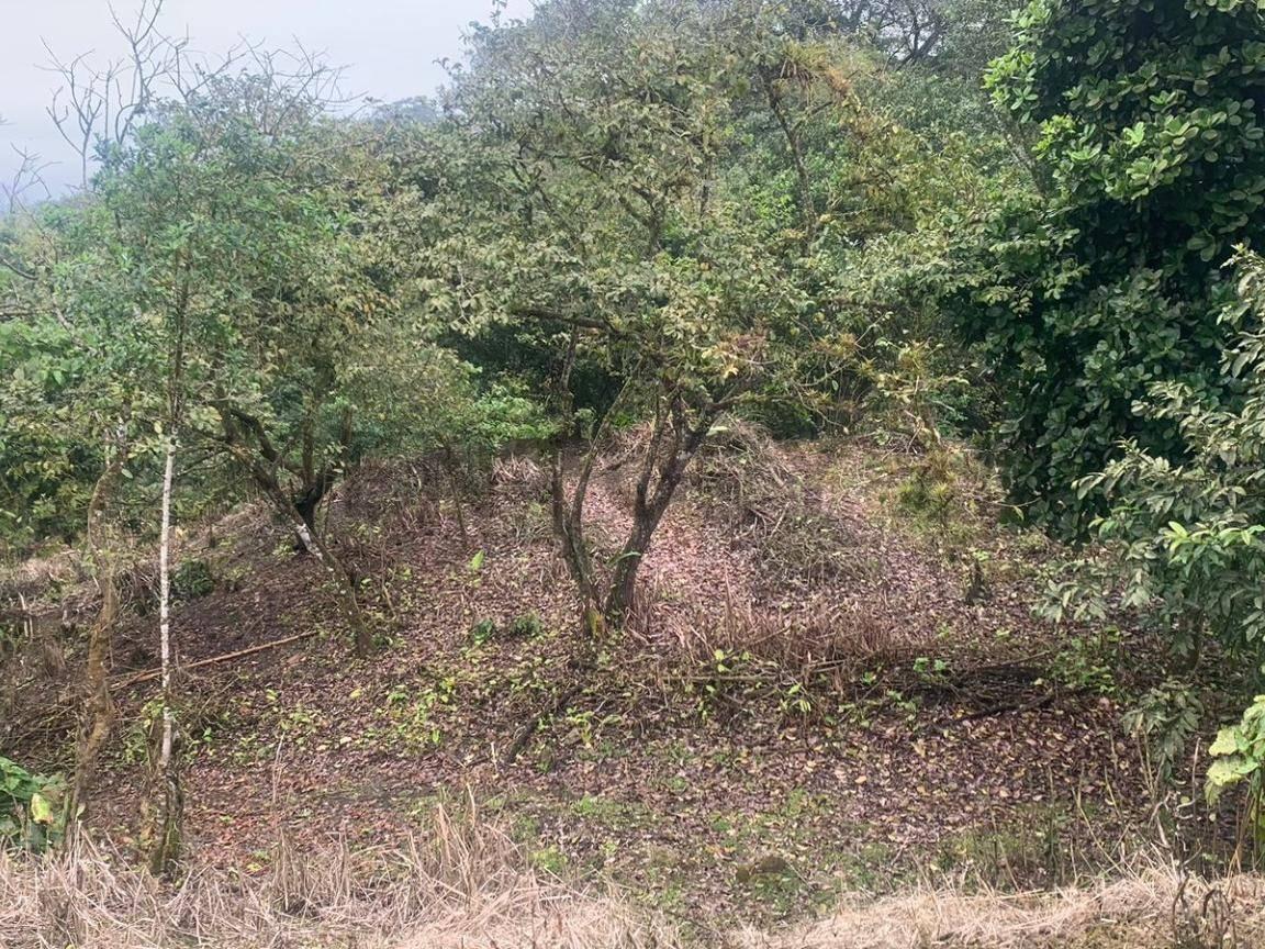 Venta de Terreno - El Aromo Sector Liguiqui - ¡Inversión en Paraíso Natural!, Manabí — imagen 3