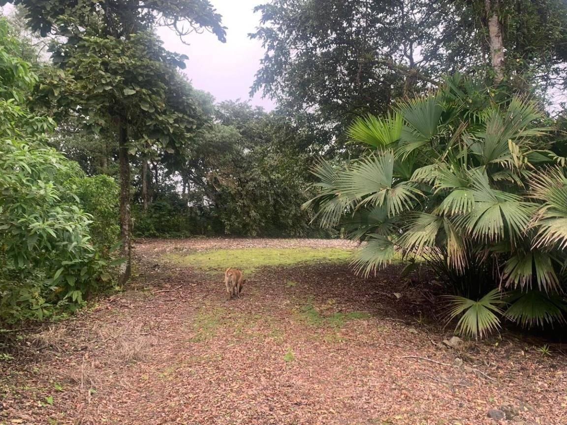 Venta de Terreno - El Aromo Sector Liguiqui - ¡Inversión en Paraíso Natural!, Manabí — imagen 2
