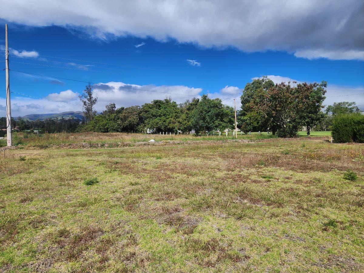 Vendo Hermosos Lotes Desde 500 m Lotizados en Puembo — imagen 10