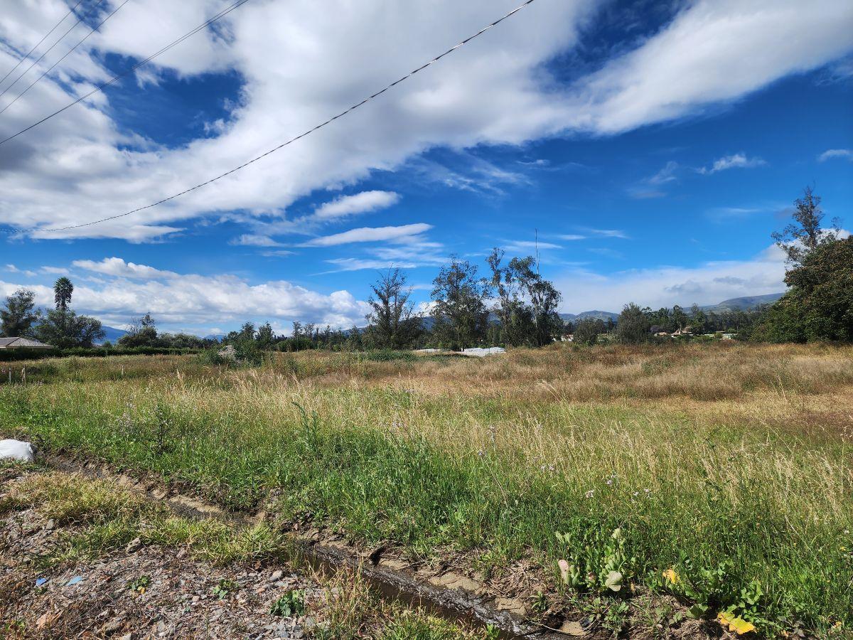 Vendo Hermosos Lotes Desde 500 m Lotizados en Puembo — imagen 9