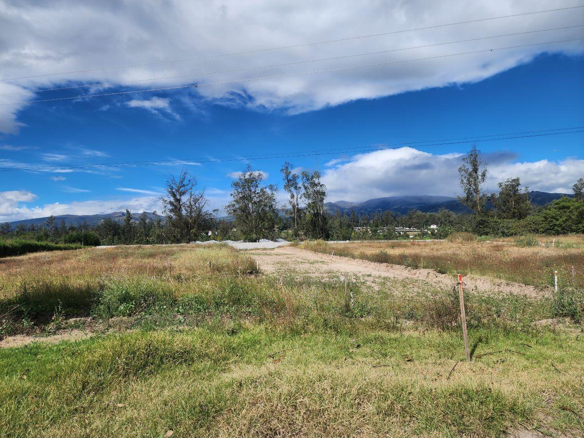 Vendo Hermosos Lotes Desde 500 m Lotizados en Puembo — imagen 8