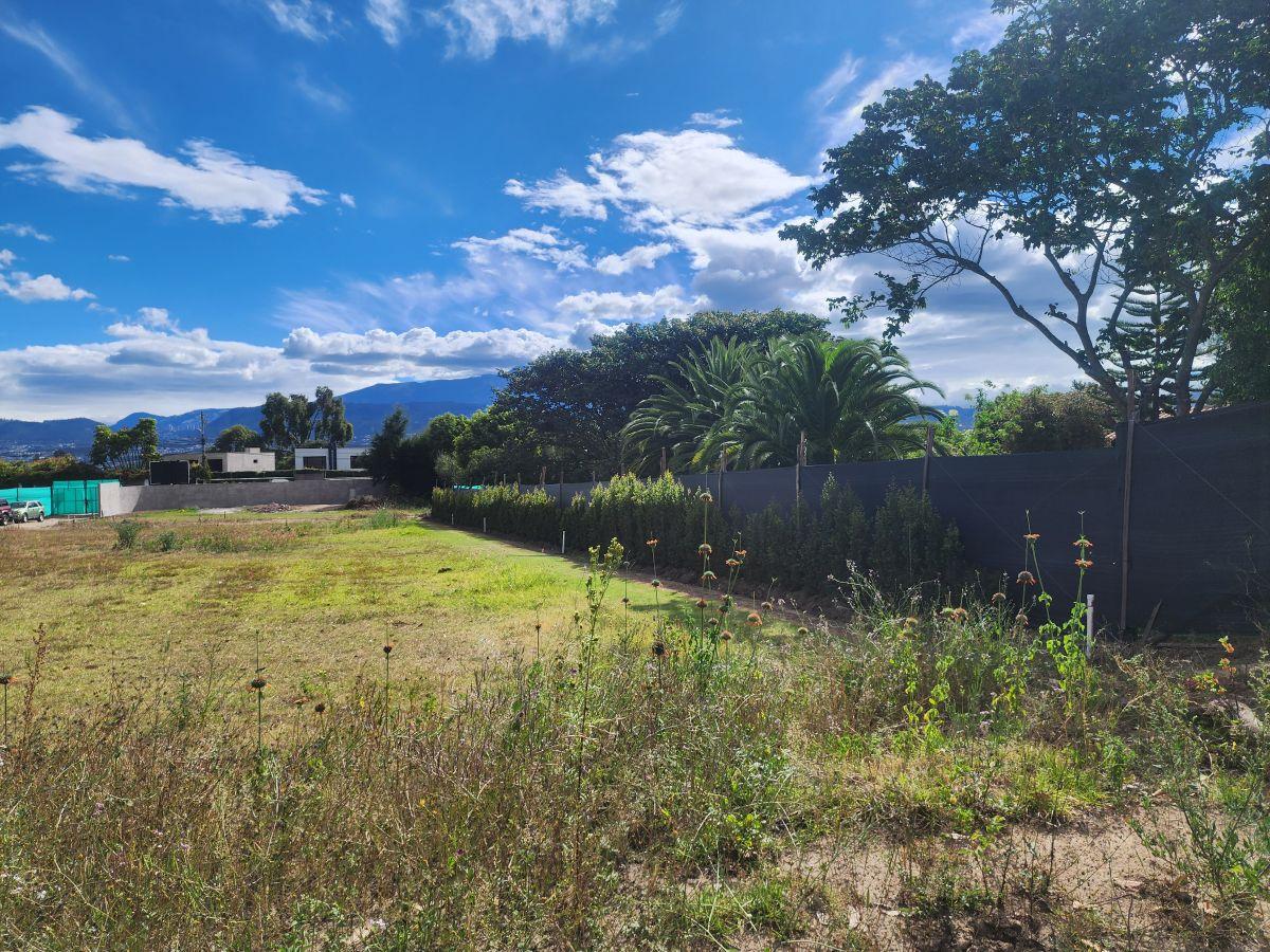 Vendo Hermosos Lotes Desde 500 m Lotizados en Puembo — imagen 7