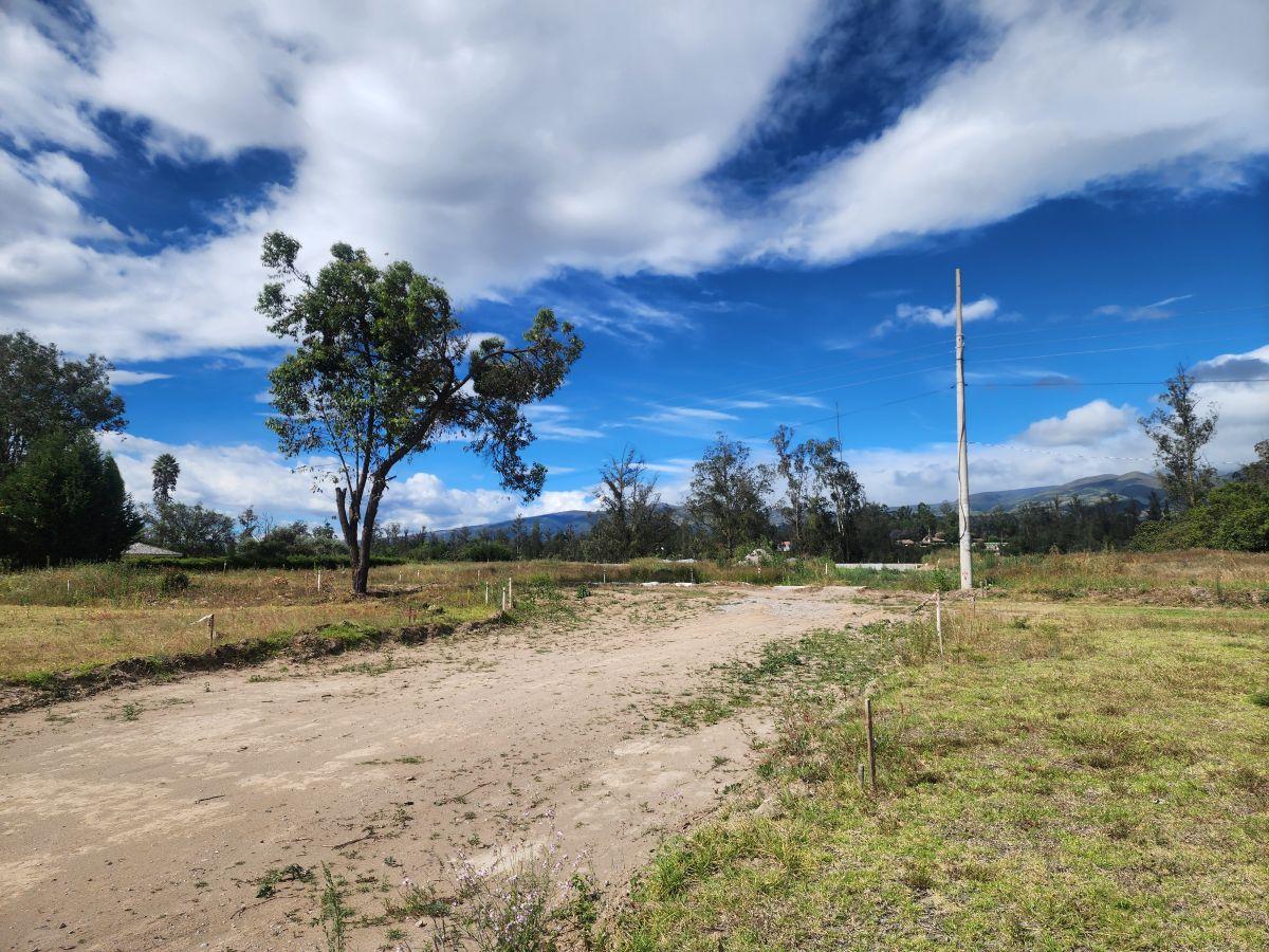 Vendo Hermosos Lotes Desde 500 m Lotizados en Puembo — imagen 6