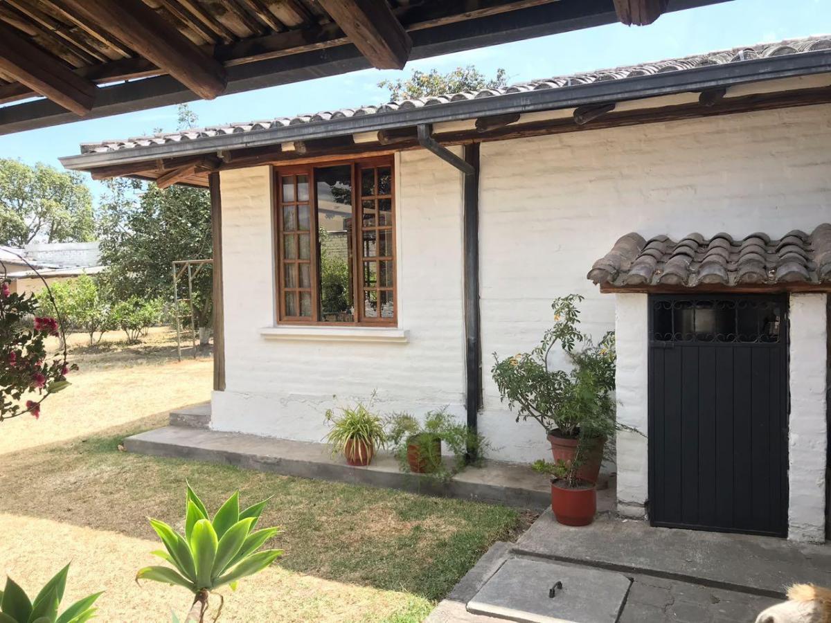 Renta o Venta Quinta Tumbaco — imagen 9