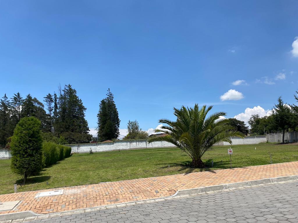 Vendo Terreno en Puembo Cerca a Einstein — imagen 5