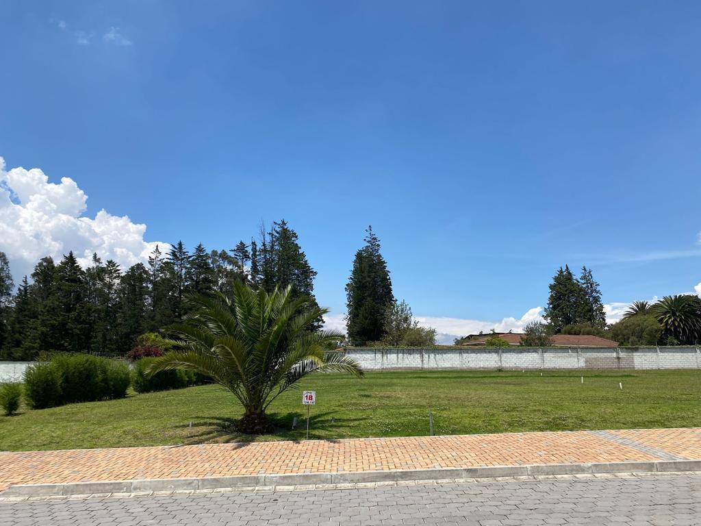 Vendo Terreno en Puembo Cerca a Einstein — imagen 4
