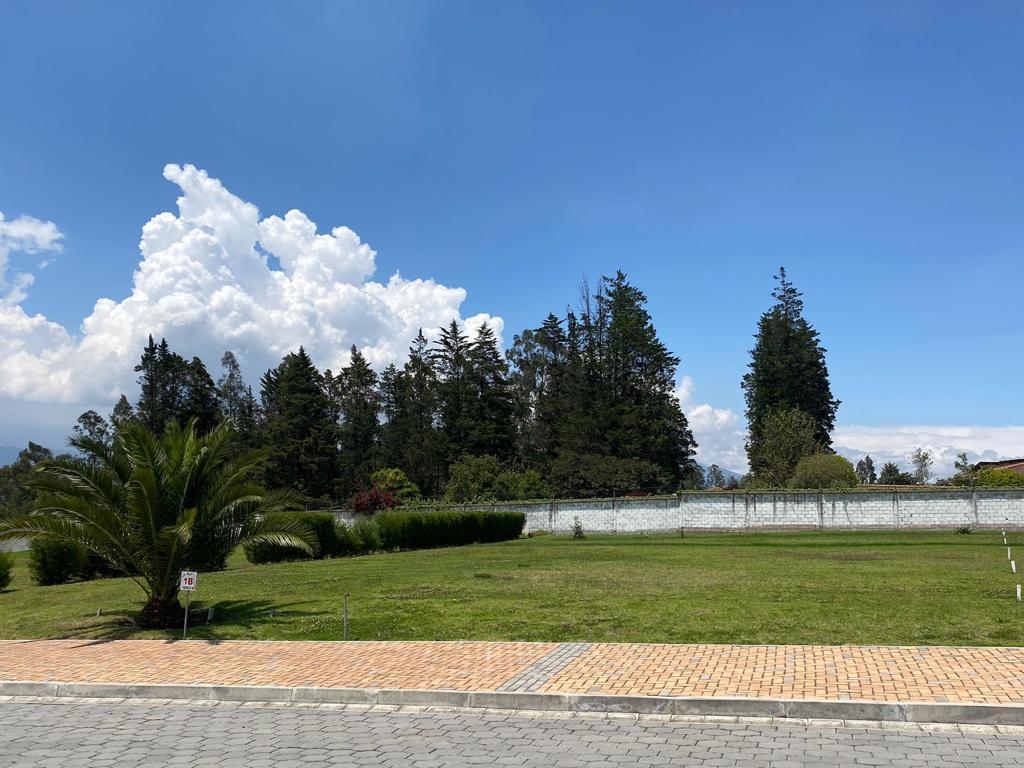 Vendo Terreno en Puembo Cerca a Einstein — imagen 3