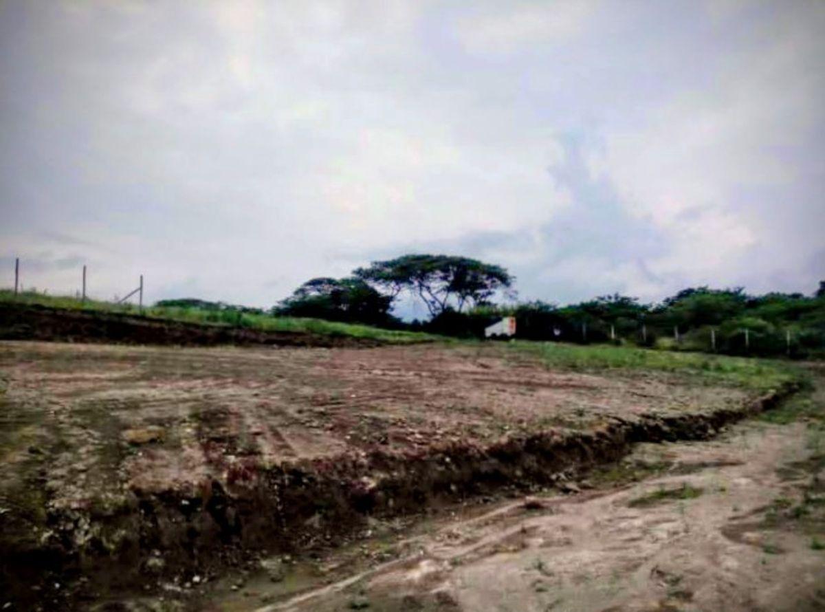Vendo Terreno 30.000 m en Collaqui — imagen 2