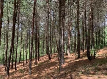 Terreno en Venta, Sector Tutupali Chico, Azuay — imagen 2