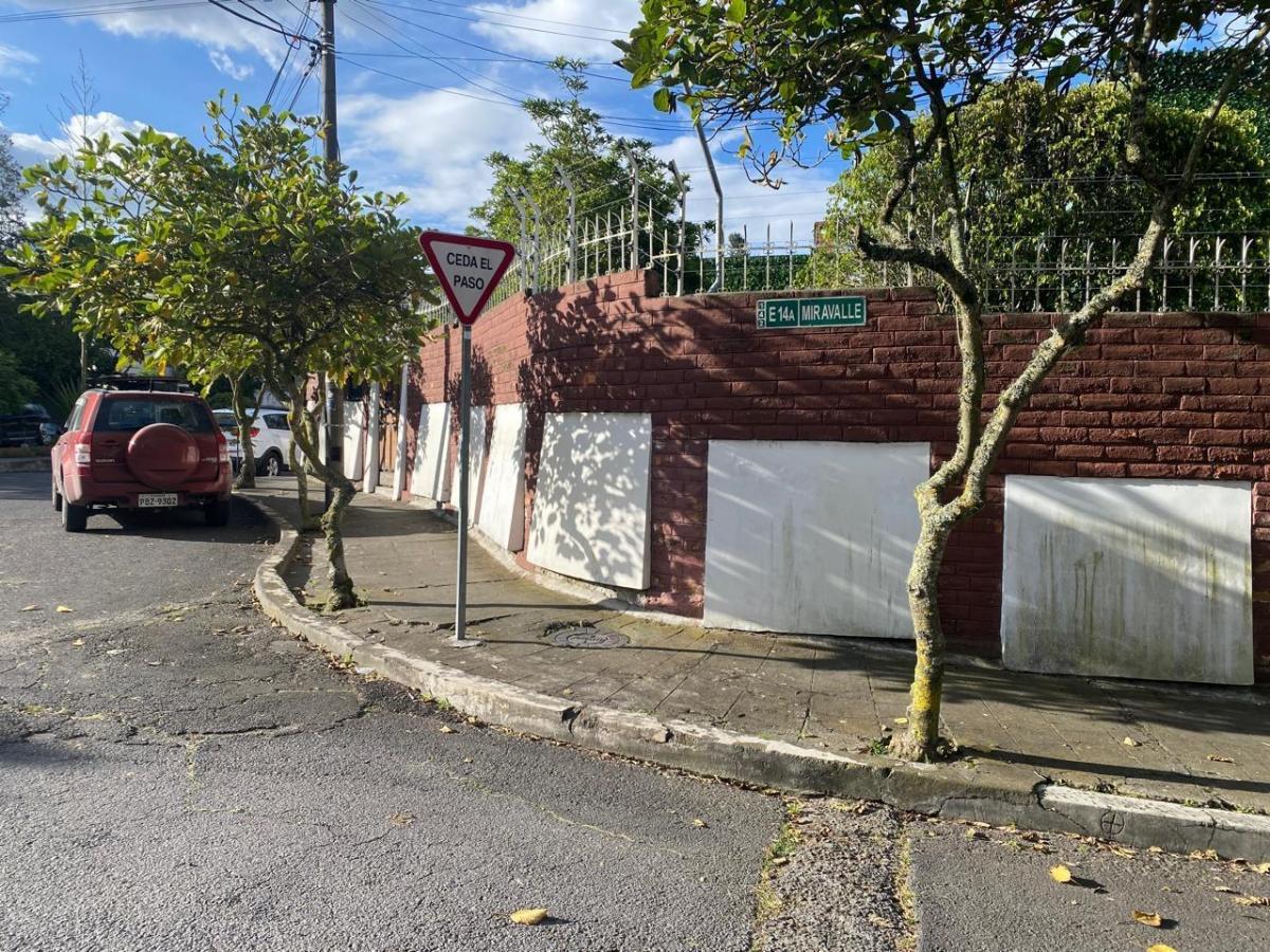 Floresta Calle Zaldumbide — imagen 8