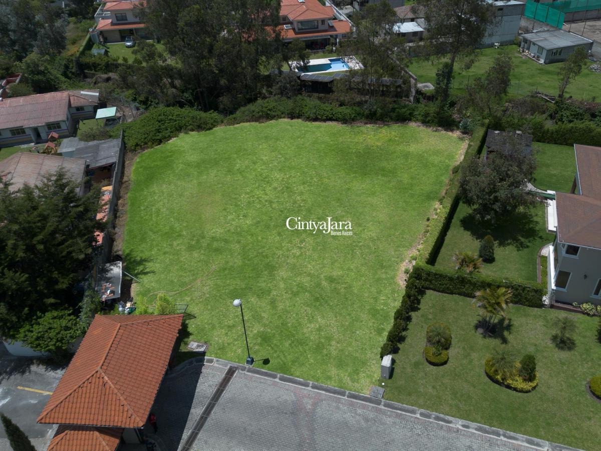 Terreno en Urbanización, Cumbaya, Sector San Juan, Oportunidad — imagen 9