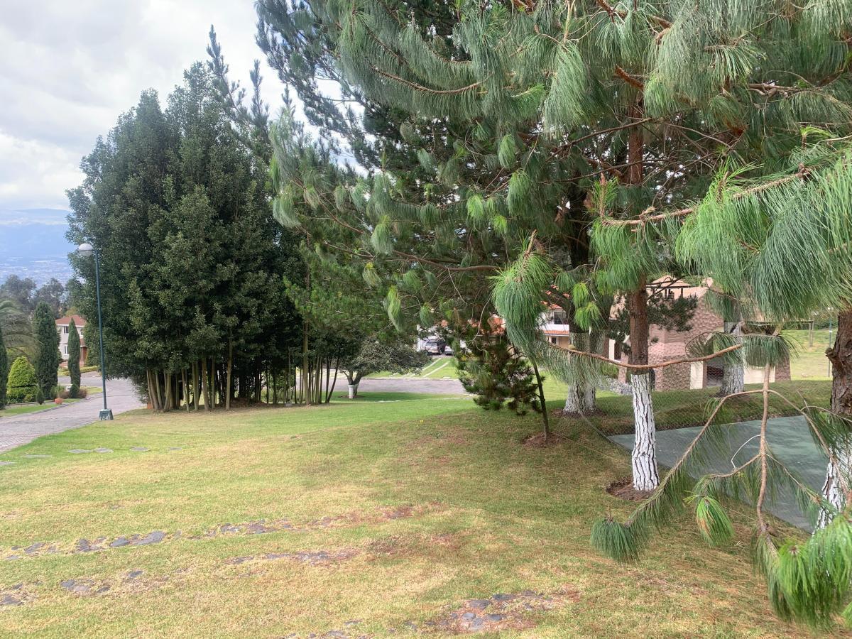 Terreno en Urbanización, Cumbaya, Sector San Juan, Oportunidad — imagen 7