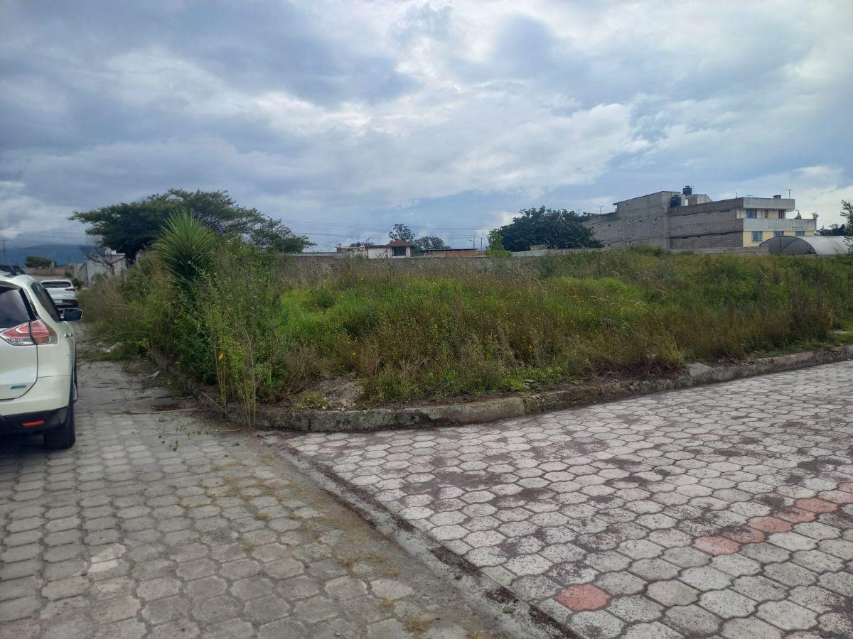 Venta Terreno Sector Pifo Dentro de Urb Jardines de Pifo — imagen 8