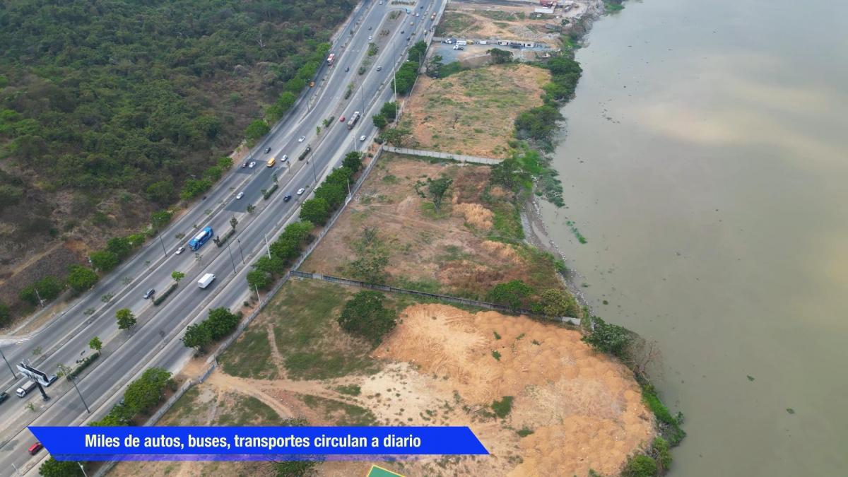Vendo Terreno de 8.000 m² Excelente Ubicación en La Av Narcisa de Jesús Martillo, Guayas — imagen 8