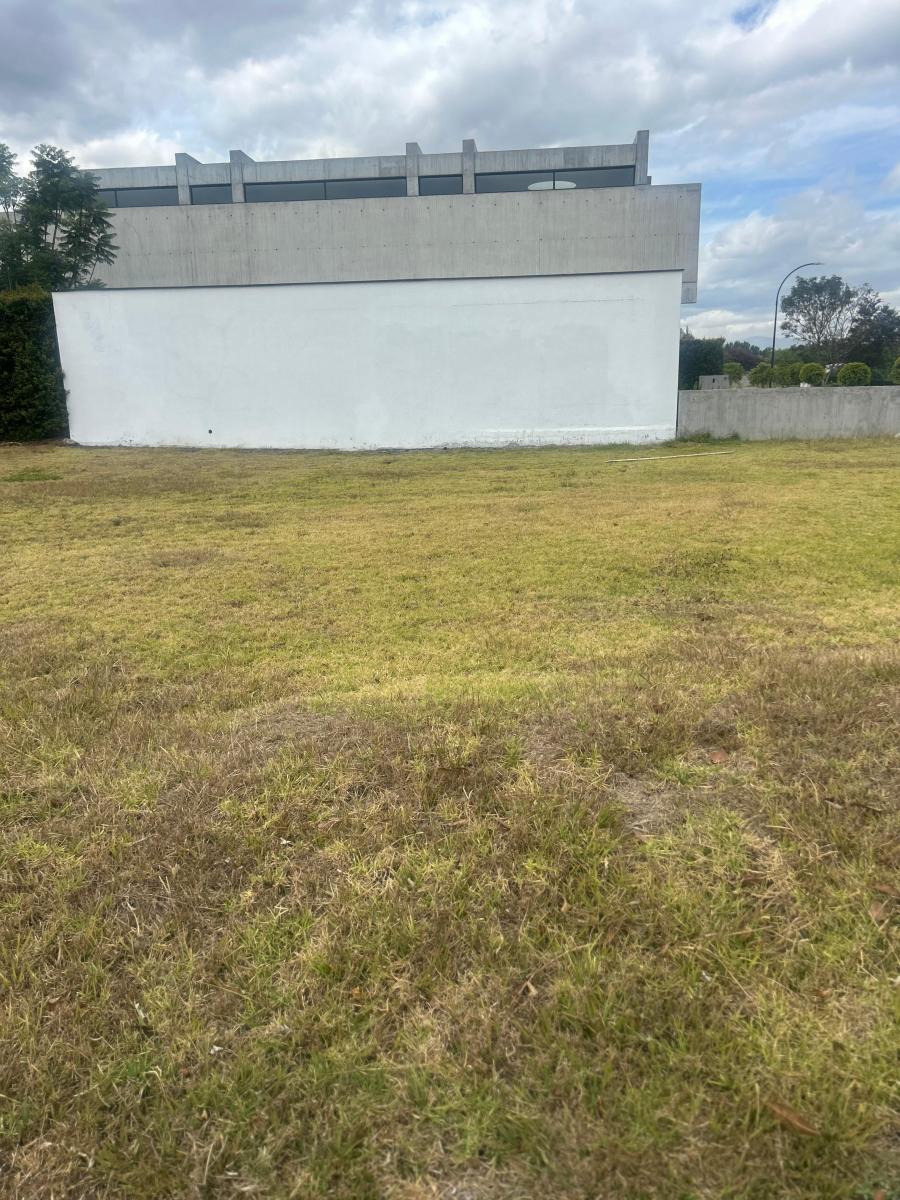 Venta Terreno Urbanización Puembo 1000 m² — imagen 6