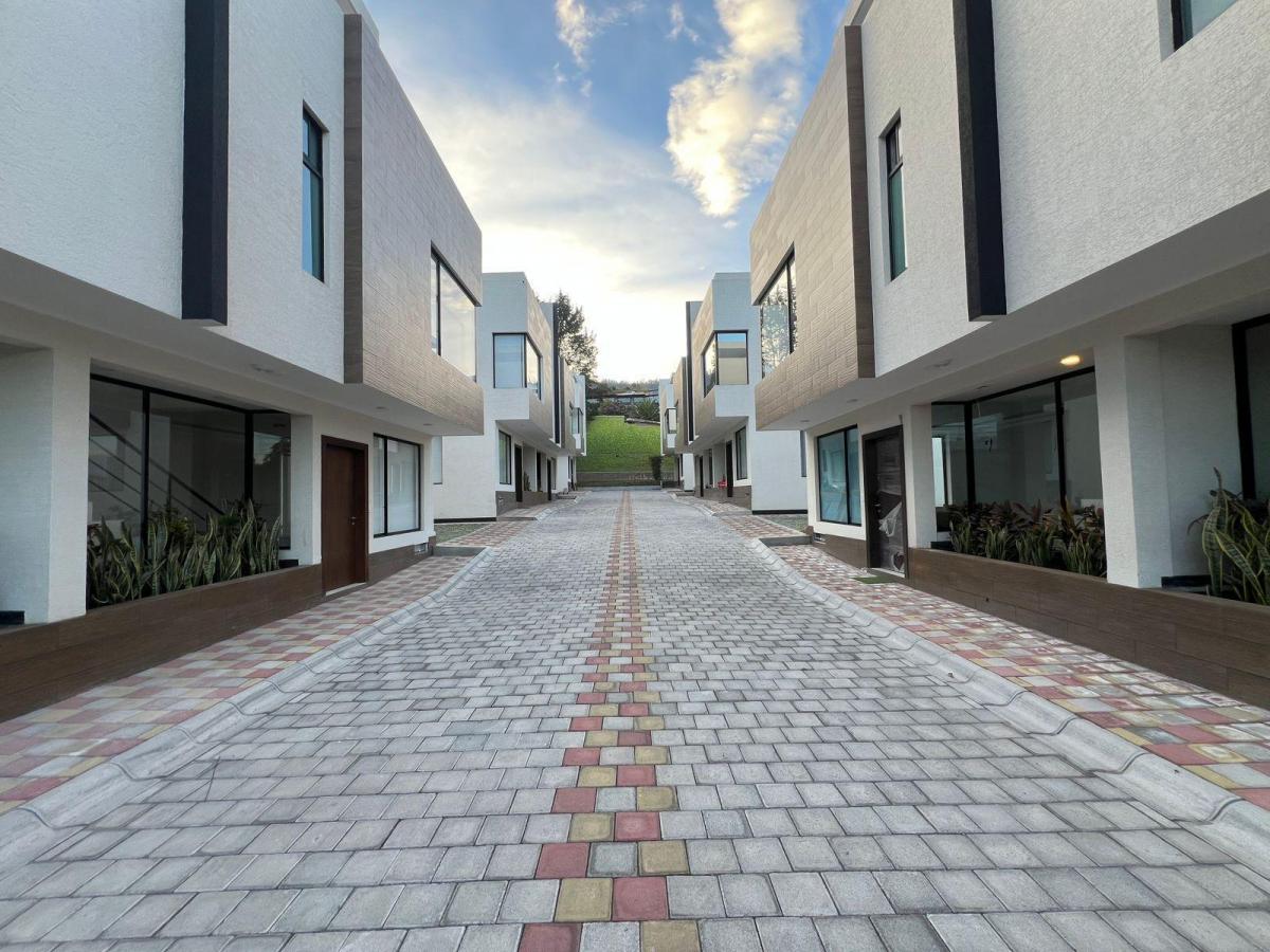 Mv - Sector Tanda, en Venta Casa Independiente de 3d, 123.03 m² Mas Terraza de 47.46 m² — imagen 6