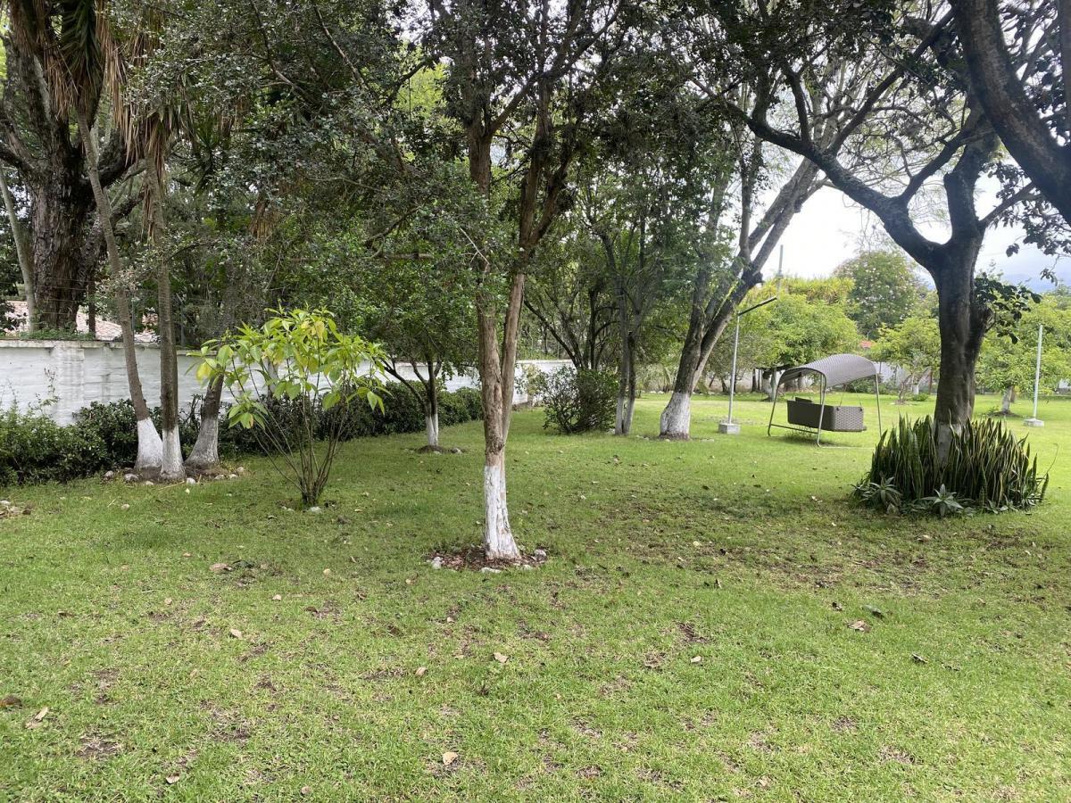 Terreno de Venta en Tumbaco, Ideal Constructores — imagen 9