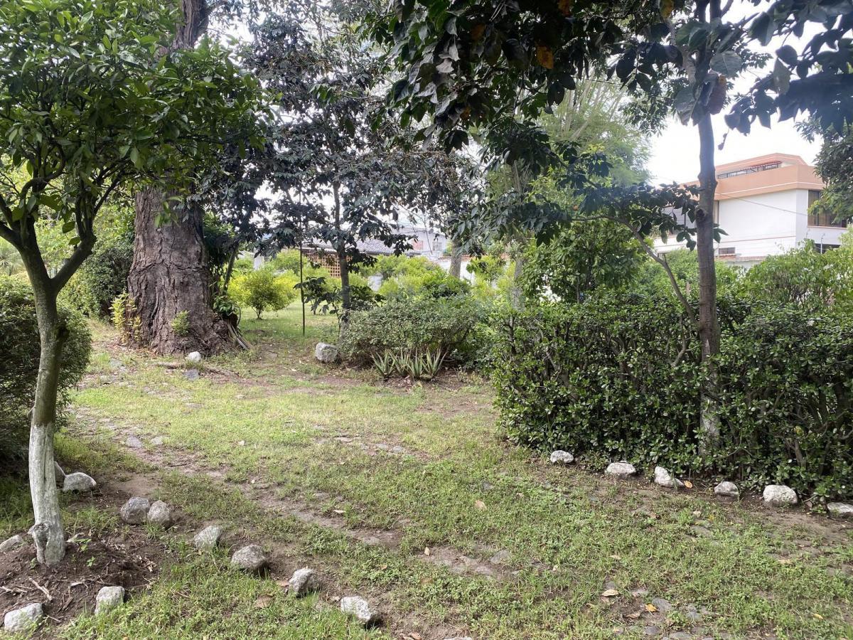 Terreno de Venta en Tumbaco, Ideal Constructores — imagen 8