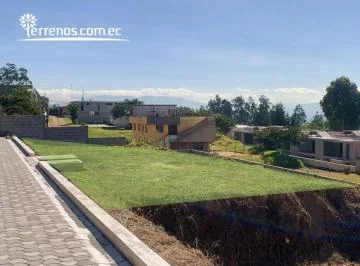 Cima — imagen 4