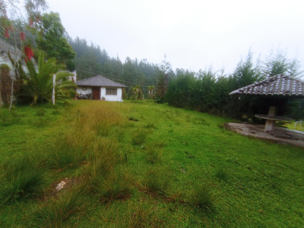 Se Vende Terreno con Todos Los Servicios Basicos y Calle Adoquinada — imagen 8