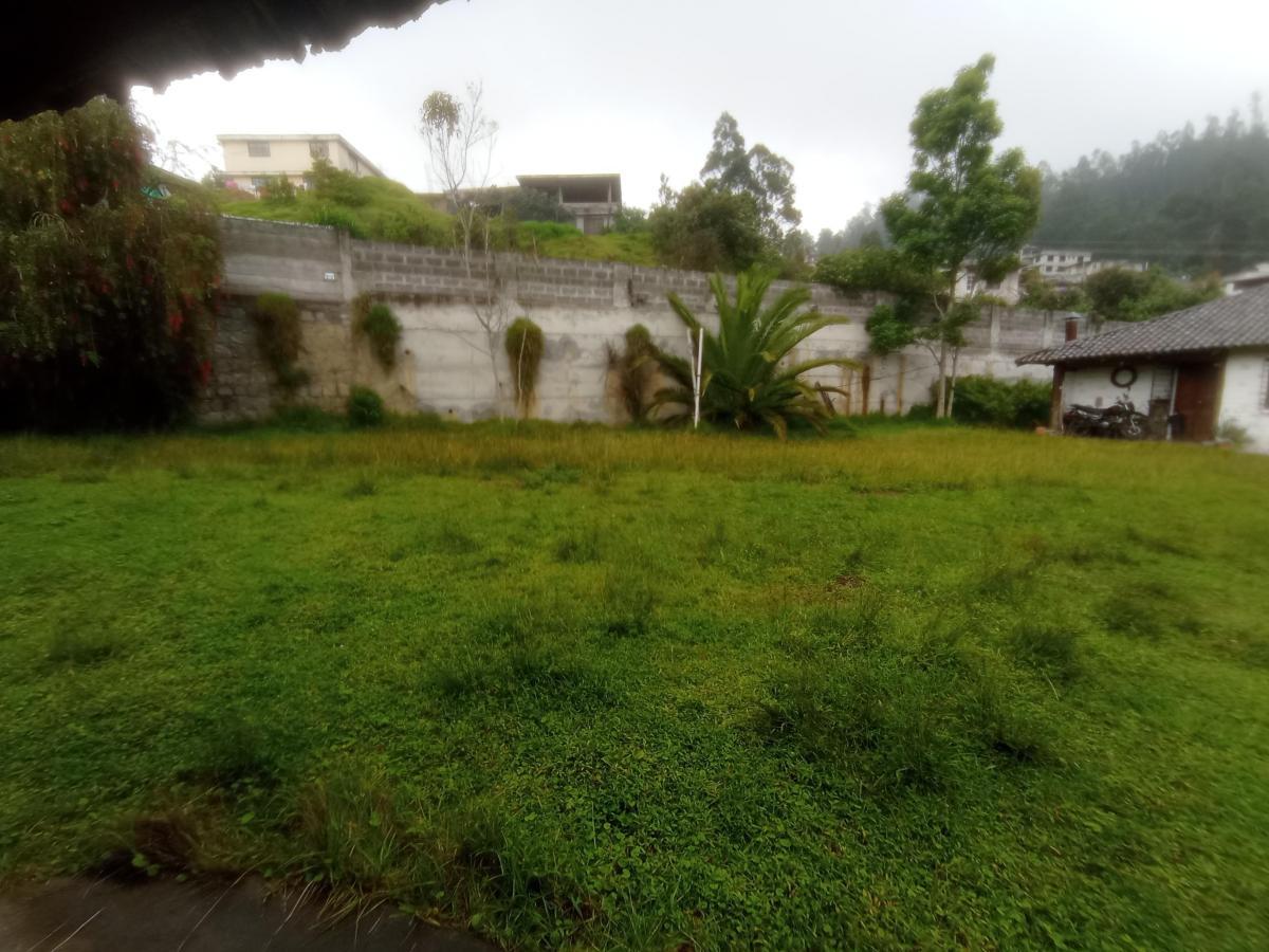 Se Vende Terreno con Todos Los Servicios Basicos y Calle Adoquinada — imagen 6