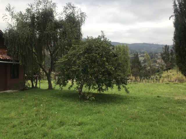 Excelente Finca en Venta con 14.740 M²t a 1 Km de Gualaceo, Azuay — imagen 8