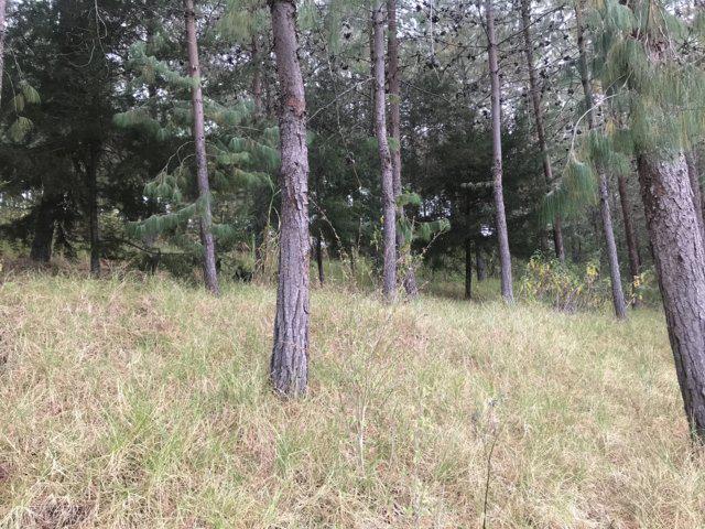 Excelente Finca en Venta con 14.740 M²t a 1 Km de Gualaceo, Azuay — imagen 2