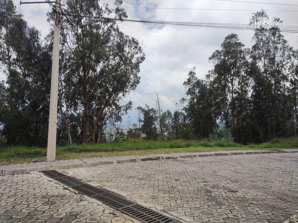 Terreno de 1378 m² en Venta en Nayón en Urbanización con Guardias Bifamiliar — imagen 3