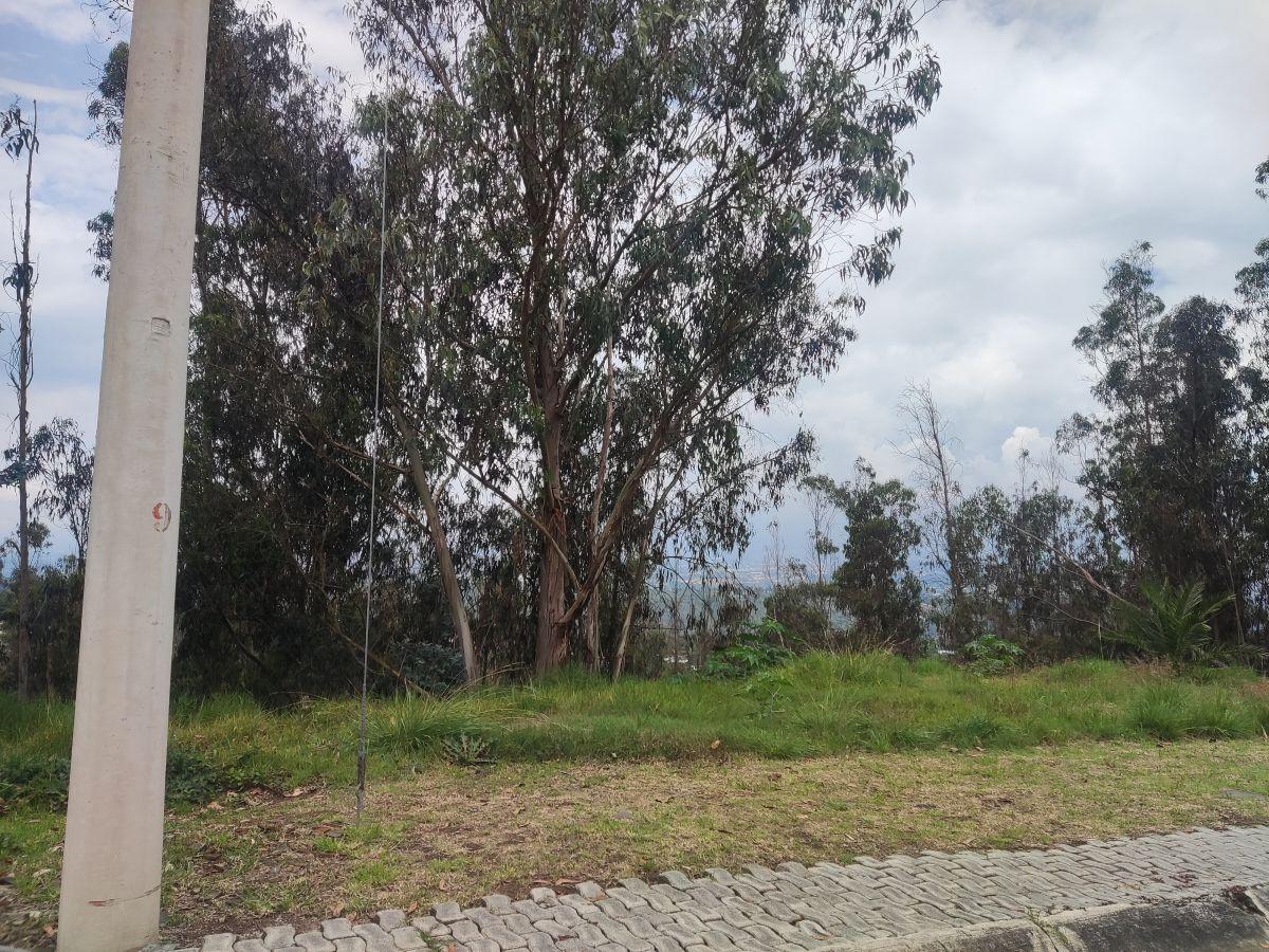 Terreno de 1378 m² en Venta en Nayón en Urbanización con Guardias Bifamiliar — imagen 2