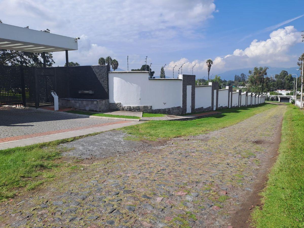 Vendo Hermoso Terreno en Puembo — imagen 8