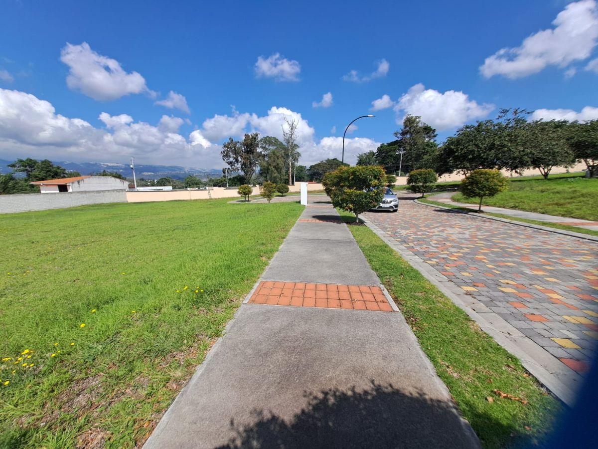 Vendo Hermoso Terreno en Puembo — imagen 7