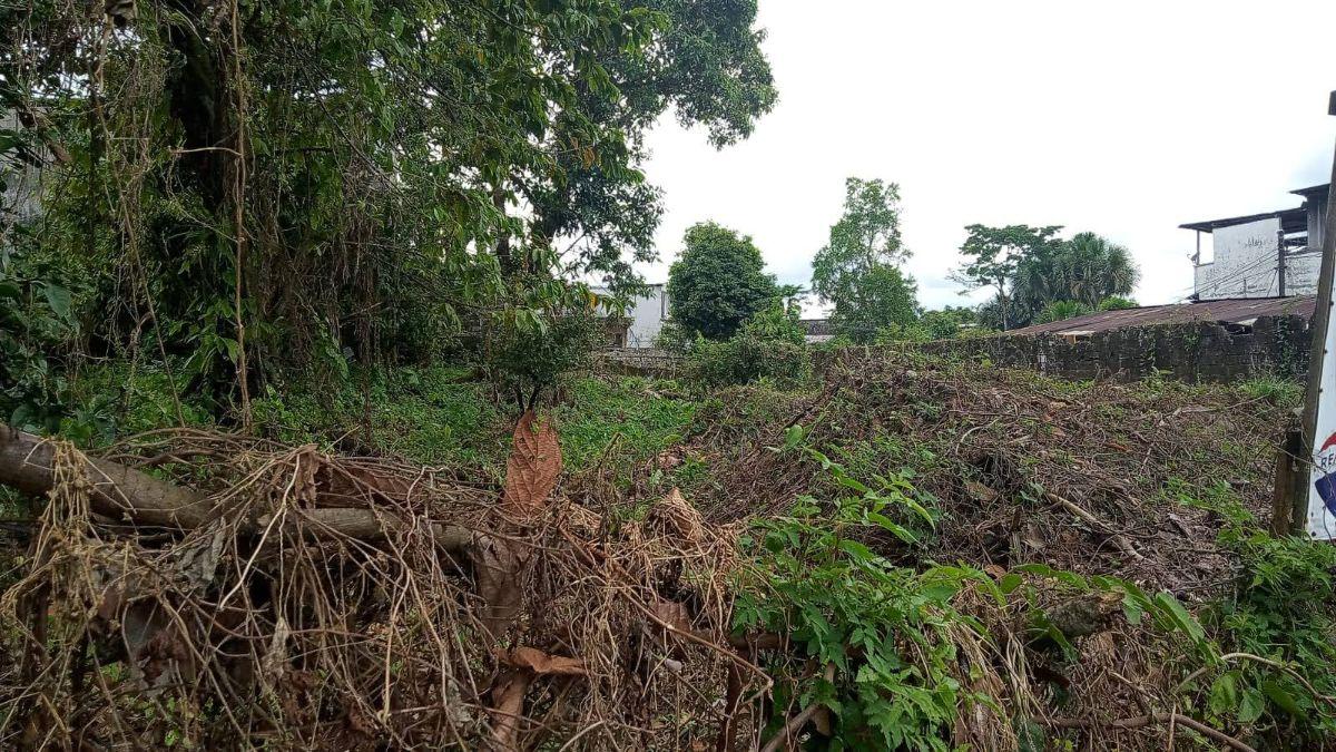 Se Vende Terreno en Puyo Pastaza Sector Parque Morete Puyo, Pastaza — imagen 4