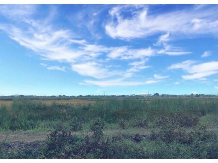 ¡Oportunidad Única! Macrolote de 75,000 m² en Venta: Sector Barranca, Nuevo Gran Samborondón | El Fu, Guayas — imagen 7