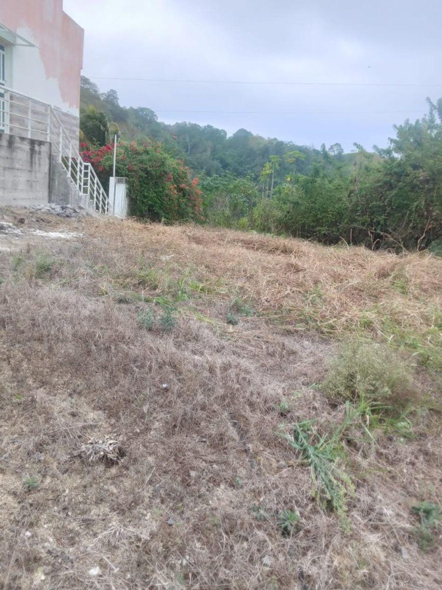 Terreno en Casablanca — imagen 6