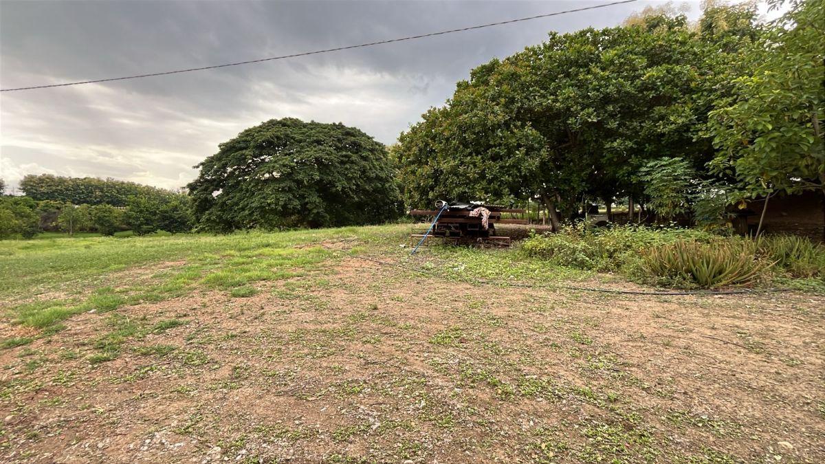 Terreno en Venta 83.800 m² - con Plantación de Teca, Vía a La Costa Km 26 - Pasando El Peaje, Guayas — imagen 4