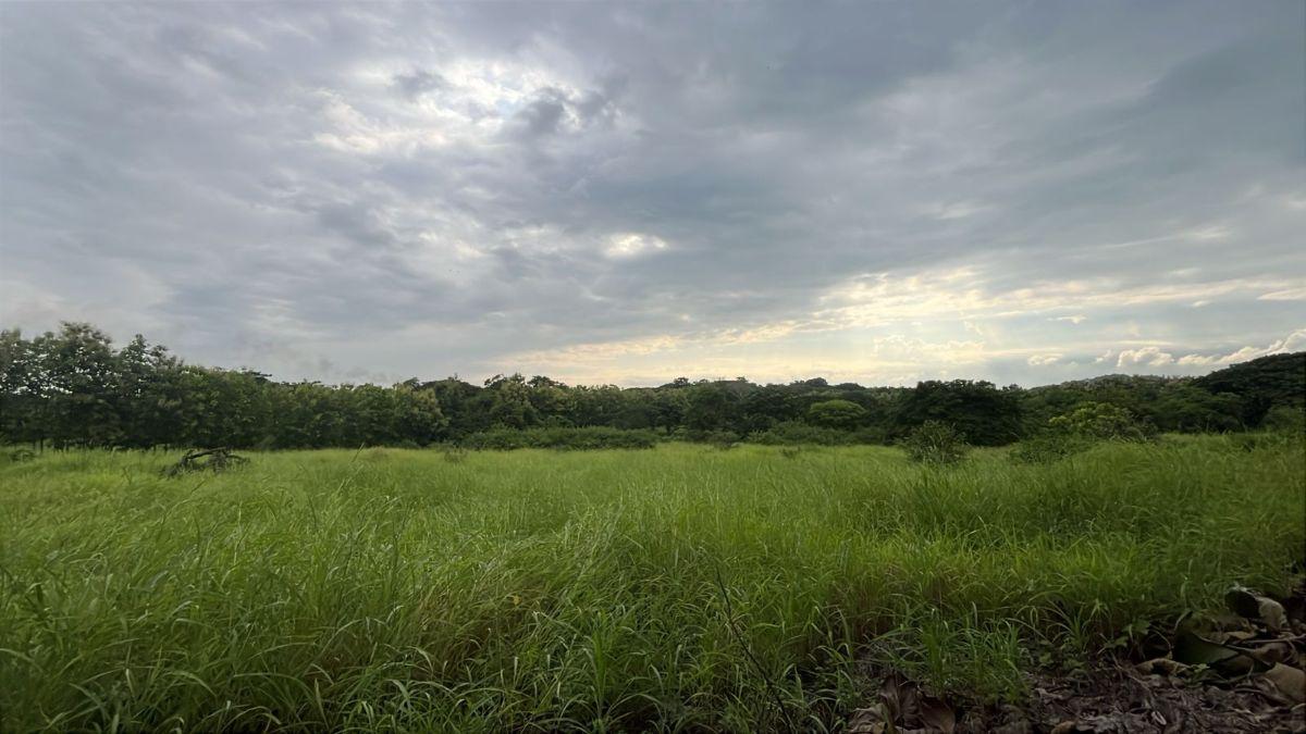 Terreno en Venta 83.800 m² - con Plantación de Teca, Vía a La Costa Km 26 - Pasando El Peaje, Guayas — imagen 3
