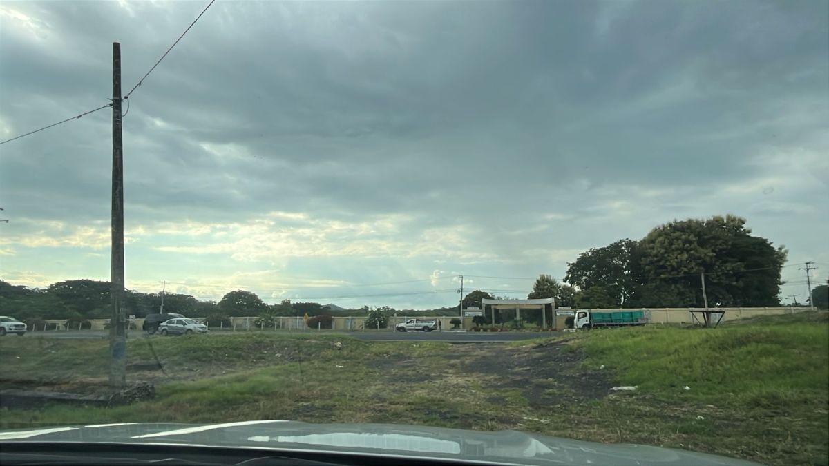 Terreno en Venta 83.800 m² - con Plantación de Teca, Vía a La Costa Km 26 - Pasando El Peaje, Guayas — imagen 2