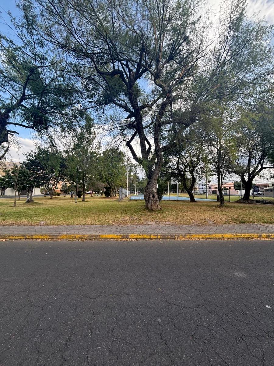 Hermoso Departamento en Urbanización Segura – Cerca a La Ruta Viva Pr — imagen 3