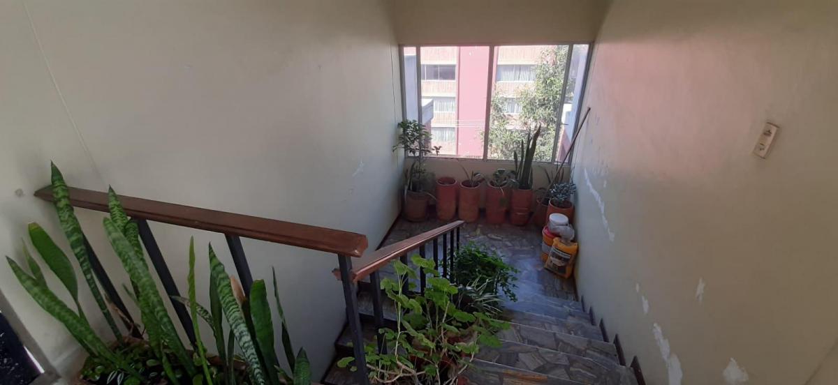 Vendo Departamento 165 m² — imagen 10