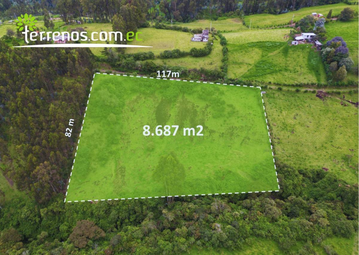 Terreno de Venta en Pintag 8687 m², Zona de Fincas — imagen 8