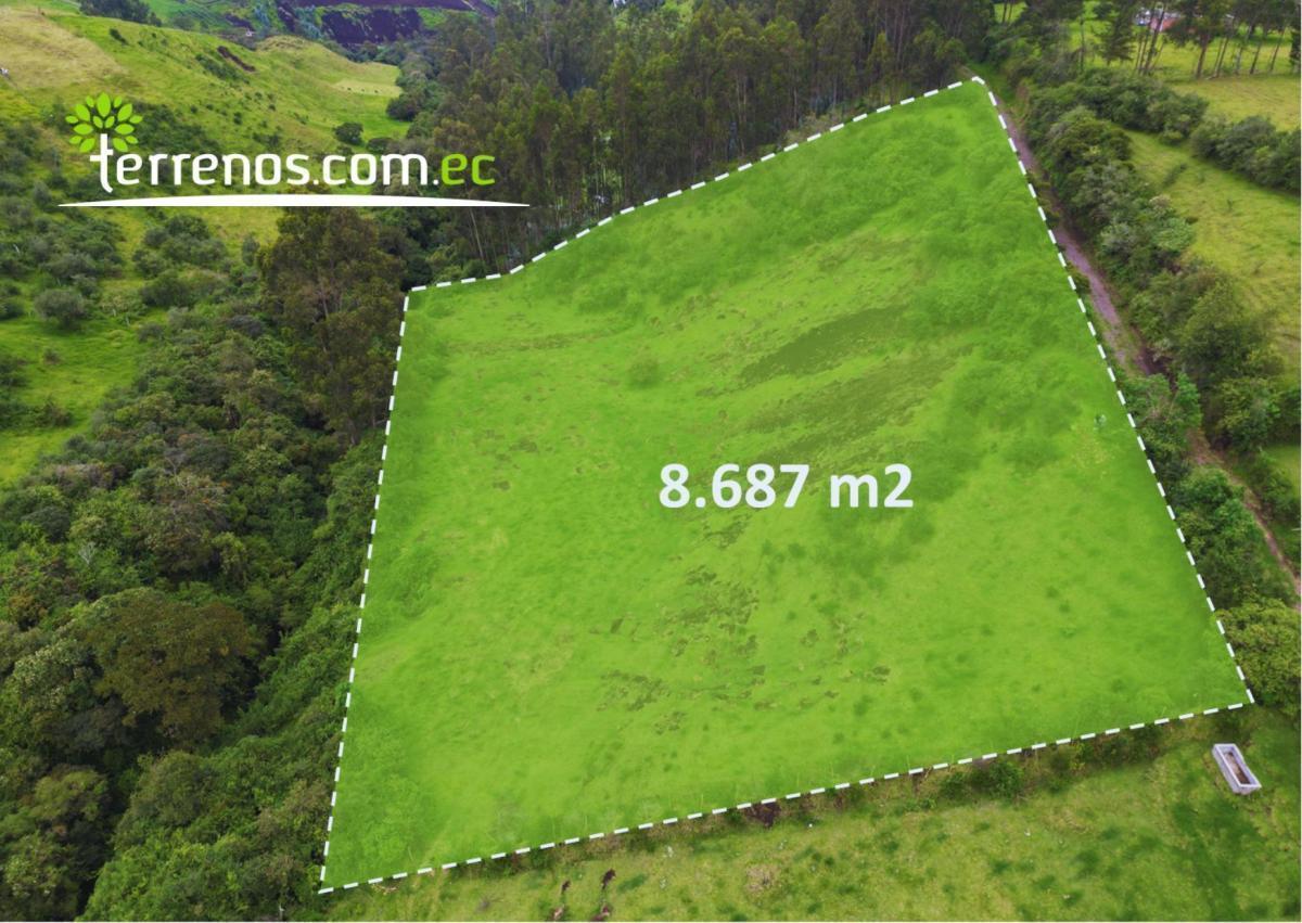 Terreno de Venta en Pintag 8687 m², Zona de Fincas — imagen 7
