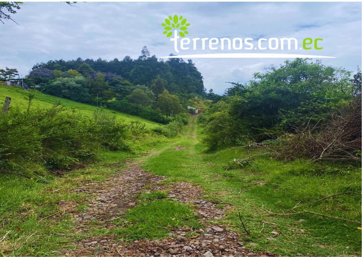 Terreno de Venta en Pintag 8687 m², Zona de Fincas — imagen 2