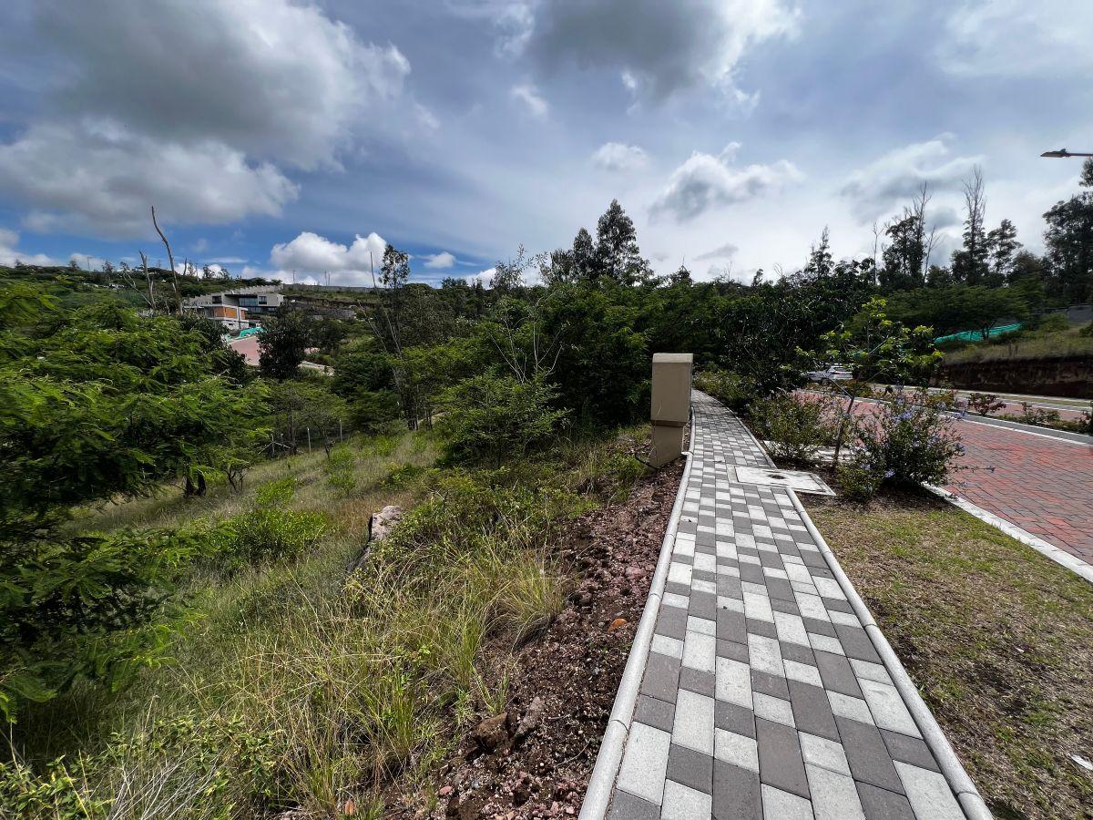 Venta, Terreno de 1005 m² en Tumbaco con Urbanización Privada — imagen 8