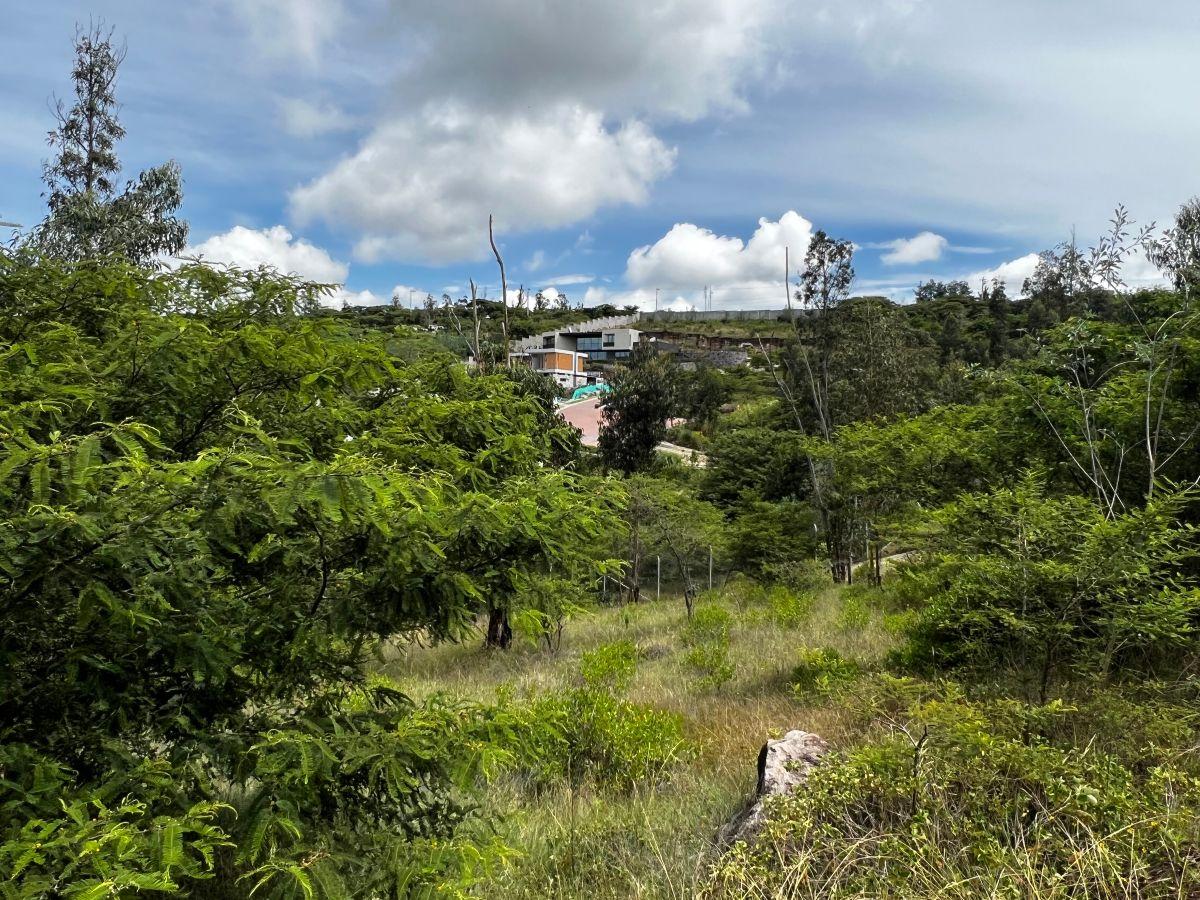 Venta, Terreno de 1005 m² en Tumbaco con Urbanización Privada — imagen 6