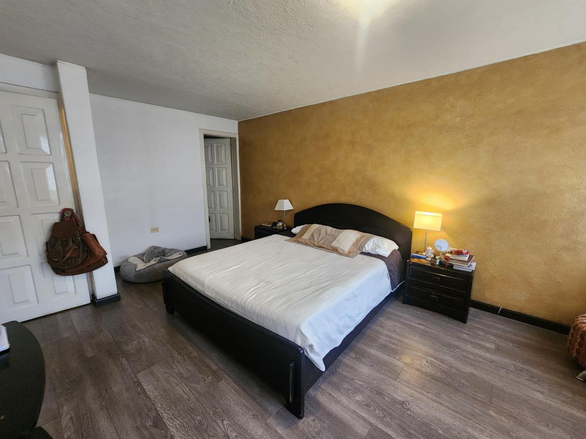 Venta Departamento Centro Norte Sector El Pinar 3 Dorm. Amplio 167 m Planta Baja — imagen 9